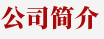 公司簡介